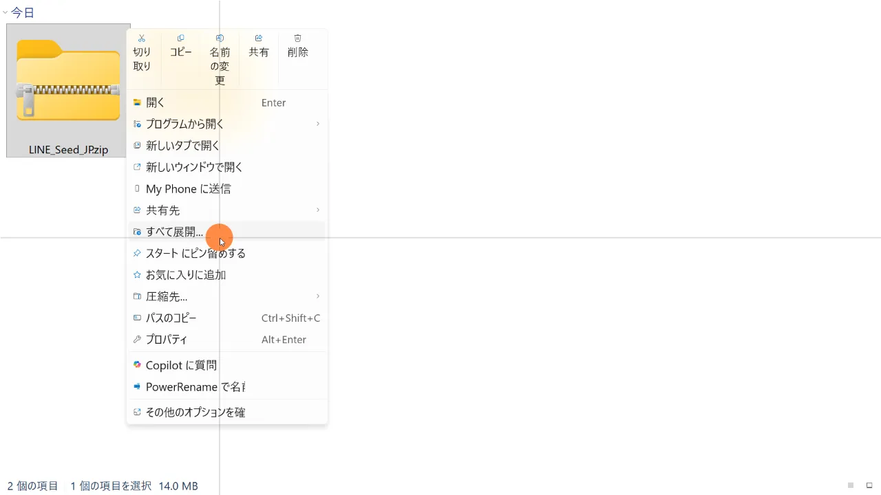 ZIPファイルの展開メニュー(Windows 11 Proの例)